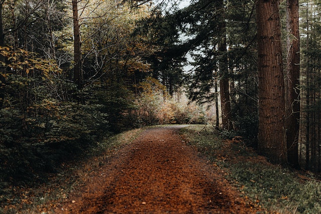 Jogger found a baby buried alive